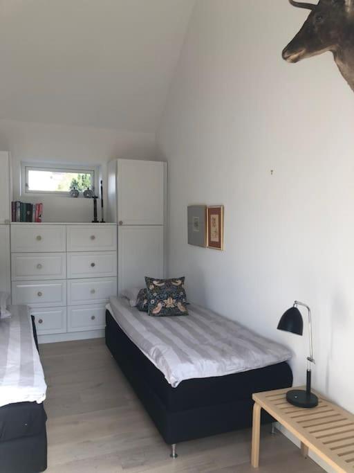 Cozy, Quiet Guest House Perfect For Business Or Pleasure Hillerød Eksteriør billede