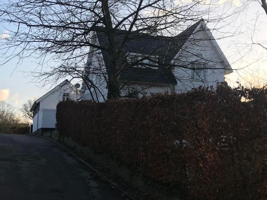 Cozy, Quiet Guest House Perfect For Business Or Pleasure Hillerød Eksteriør billede